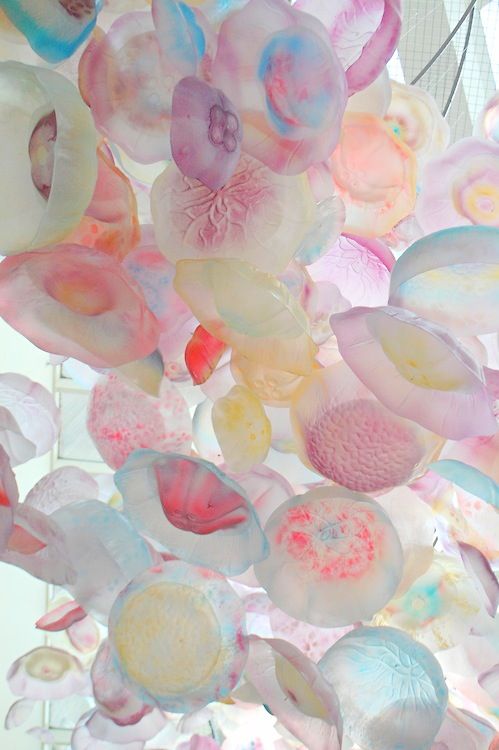 Absolutnie idealne meduzy!