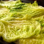 Blanched-Savoy-Cabbage